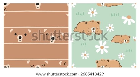 Cozy bear pattern duo, peeking faces in warm brown stripes and sleeping cubs with white daisies on soft mint, hand-drawn seamless repeats for kids fabric, pajamas, wrapping and nursery decor.