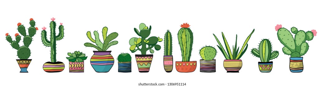 Cozy cacti set in a row . Vector