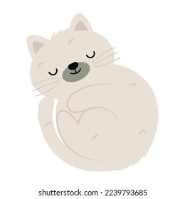 cozy cat icon on white background