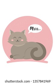 Cozy cat  pink background kitty mrrr