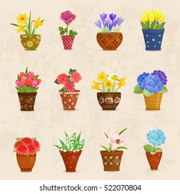 cozy collection of flowers planted in ceramic pots for your design