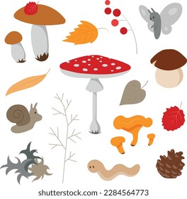 Cozy colorful autumn forest floor with mushrooms plants creatures vector collection on white