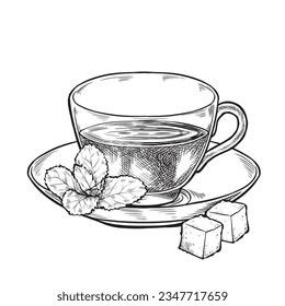 Cozy cups and mugs with hot tea. Ink style illustration, hand drawn, line art drawing, illustration set for cafe or restaurant menu.