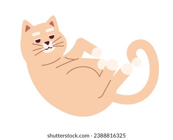 Cozy cute cat curled up 2D cartoon character. Single animal adorable kitten isolated vector animal white background. Kitty housecat upside down. Domestic pet curling color flat spot illustration