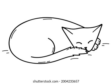 A cozy drawing of a cute sleeping cat. Hand drawn sketch of a lying pet. Black outlines isolated on a white background. The cat covers his nose with his tail, kawaii paws. Vector stock illustration.