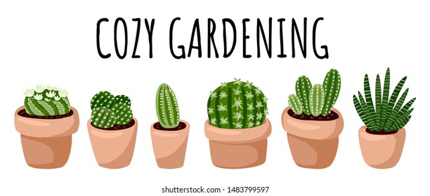 Cozy gardening banner. Set of hygge succulent and cactus plants. Cozy lagom scandinavian style collection of plants
