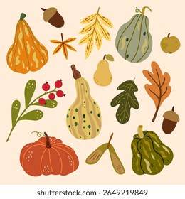 Mão aconchegante desenhou elementos de outono. Abóboras de diferentes formas, bolota e folhas. Adesivos retrô da estação de outono botânica. Ilustração vetorial