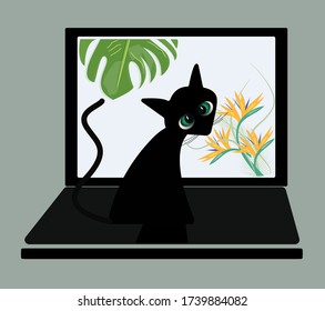 Cozy home office with a cat.
Vector isolated.