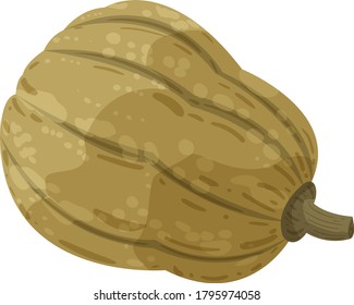 Cozy hygge style. Warm autumn mood. Green pumpkin isolated on white background. Cute flat cartoon vector illustration. Fall vibes, home design, Halloween.