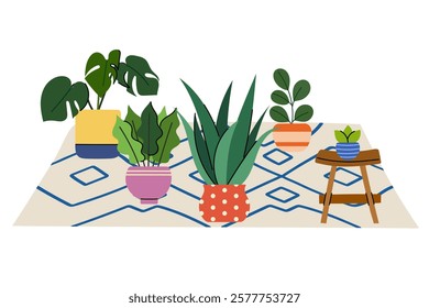 Cozy indoor plants arrangement on decorative rug – modern houseplants in colorful pots for home decor and interior design.