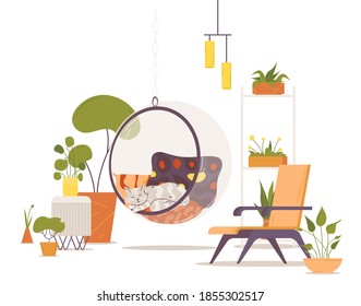 Cozy interior with flower pots, bubble chair with sleeping cat inside. Vector indoors scene good for pet cafe or home
