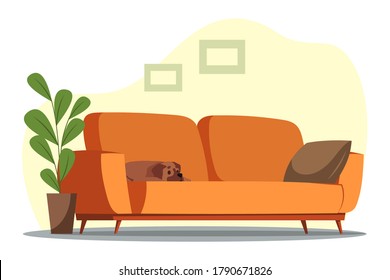 Cozy living room with dog an apartment. Comfortable orange sofa with cushion, large potted plant, pictures on wall. Vector flat illustration of modern furniture design interior, home background