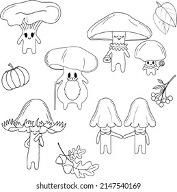 Cozy mushrooms they are any kind of old yung