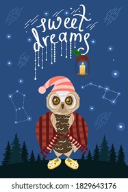 Cozy owl in plaid and Slippers and lettering, night sky, stars and constellations. Vector illustration suitable for a poster or card.