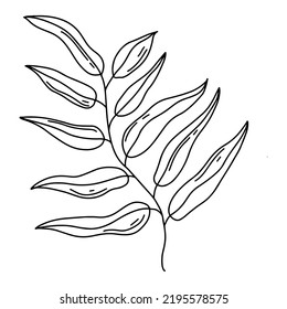 Cozy plant in doodle style vector illustration. Natural branch element isolated on white background.