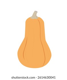 cozy pumpkins. Autumn farmers vegetables. Pumpkins,