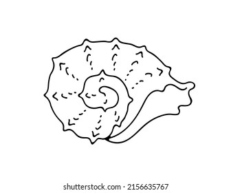 Cozy relaxing spa home and summer beach holidays. Seashell vector isolated black line logo. Marine animals. Hand-drawn vector black line illustration for T-shirt, print style, graphics.