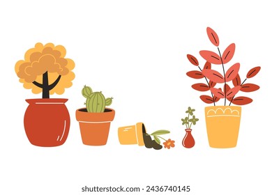 Cozy set of indoor plants in modern pots