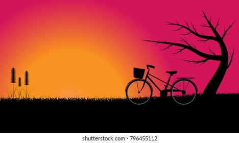 Cozy At sunset In the meadow there are trees and bicycles parked in silhouette.