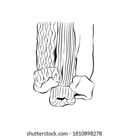 Cozy sweaters vector illustration, linear style, side view. Hand drawn   clipart of cardigan`s knitted sleeves isolated on white background. Good for icons, label, poster, print, blogs, cards.