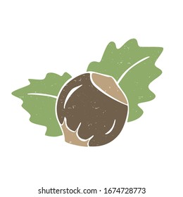 Cozy vector hazelnut. Colored hazelnut with leaves isolated on a transparent background. Vector shabby hand drawn illustration