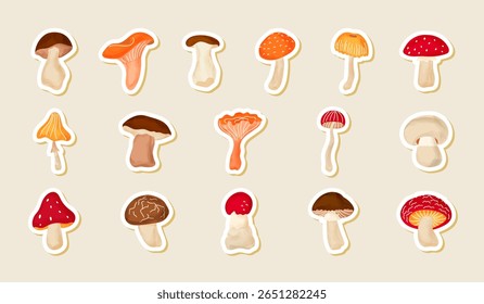 Aconchegante conjunto de vetor de cogumelos de floresta de aquarela. Ilustrações de Porcini, Chanterelle, Fly Agaric e muito mais. Ideal para arte infantil, perfeito para decoração sazonal, scrapbooking e adesivos de planejador