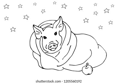 Cozy wrapped in a blanket, the pig lies under the stars.