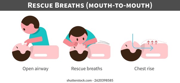 CPR . Cardiopulmonary resuscitation . Procedure of rescue breaths and mouth ot mouth . Flat design cartoon characters . Isolate white background . Vector .