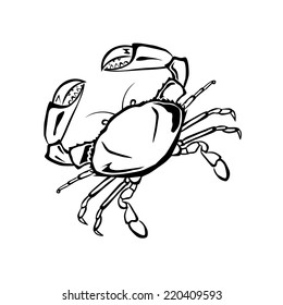 Crab