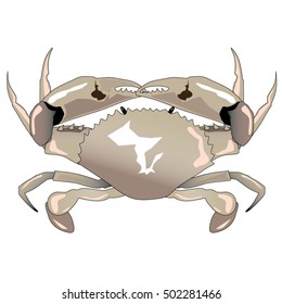 crab