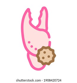 crab allergy color icon vector. crab allergy sign. isolated symbol illustration