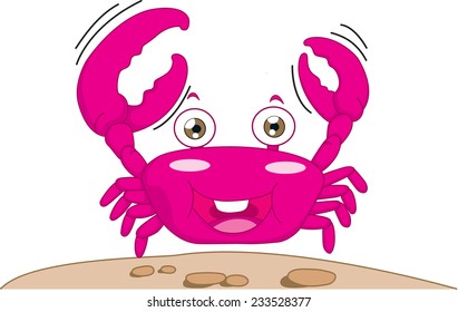 Crab Animal