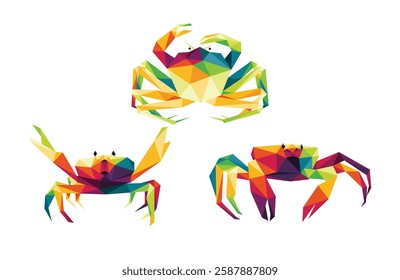 Crab animal Colorful Vector Polygon set. Colorful Polygonal Low Poly Illustration of Crab. Crab front and top view in colorful abstract vector logo collection