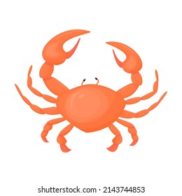 Crab animal, drawing, vector illustration