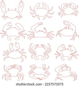  crab animal isolated sketches. Vector different crab with long claws, king and hairy crustacean, ocean lobster crayfish, wildlife marine and sea inhabitants.