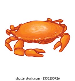 Crab Animal Vector Illustration