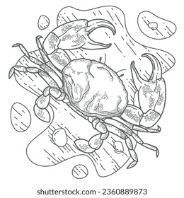 Crab with beach sand background. Freehand sketch for adult anti stress coloring book page, cover, decoration, and design element.
