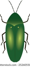 Crab beetles are insects in the order Coleoptera and are in the family Buprestidae.