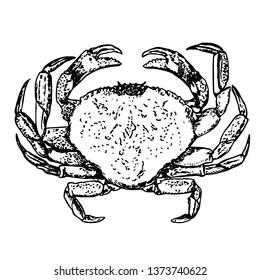 Crab big sketch vector illustration