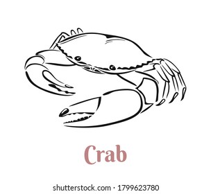 Crab black and white outline. Vector illustration. Seafood label, icon.