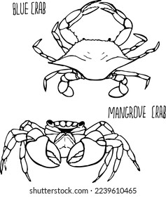Crab black and white vector set isolated on a white background.