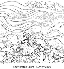 Crab by the river. Coloring pages.