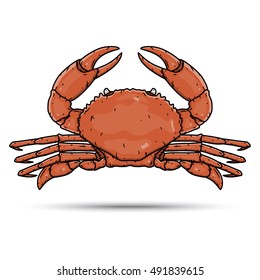 Crab. Cartoon crab.