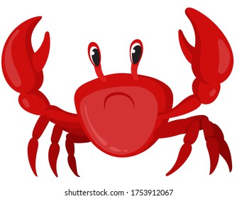 Crab in cartoon style. Sea animal isolated on white background.