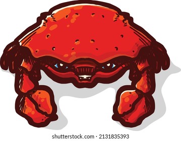 Crab Character illustration mascot on white
