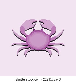 Krabbenkraut mit violettem Farbverlauf