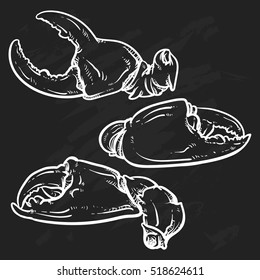 Crab claws isolated on black background. Hand drawn crab vector. crab claws with clipping path. seafood sketch.