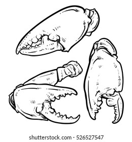 Crab claws isolated on white background. Hand drawn crab vector.