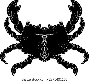 
Crab with claws and pattern. Graphics, stylization, linocut. Vector element.