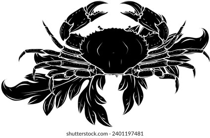 Crab with claws. Sketch in a linear style isolated on a white background.
